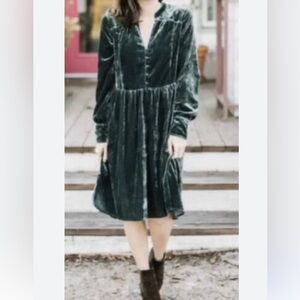 Anthropologie Holding Horses Velvet dress